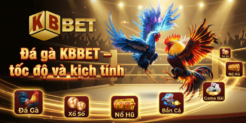 Đá gà KBBET – tốc độ và kịch tính